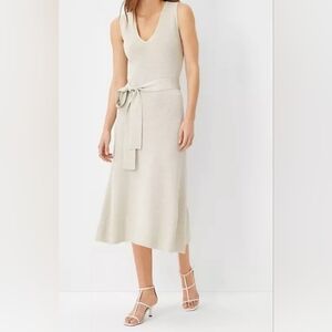 Ann Taylor Silver Shimmer Belted V-Neck Sweater Midi Dress, Sleeveless, NWT, XS